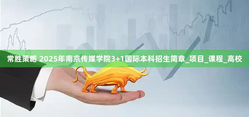 常胜策略 2025年南京传媒学院3+1国际本科招生简章_项目_课程_高校