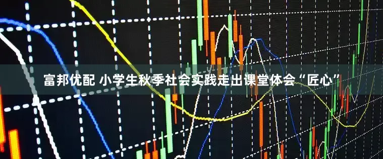 富邦优配 小学生秋季社会实践走出课堂体会“匠心”